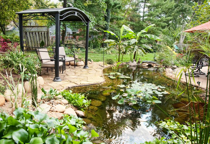 Aménagement de bassins aquatiques