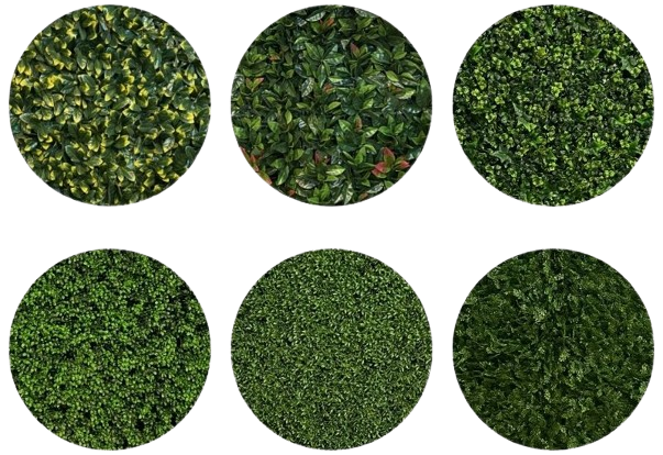 Différents modèles de haies artificielles