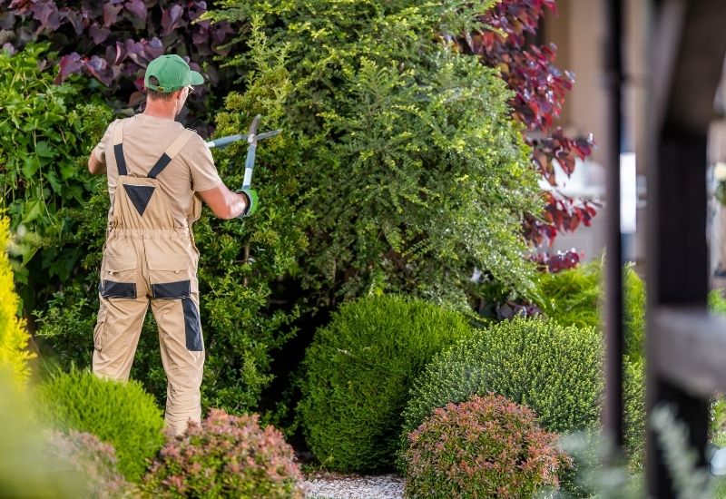 Remise en état de jardin à Menton